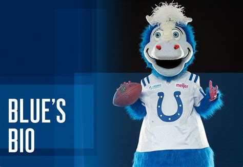 Mascot of the indianapolis colts dressed in blue